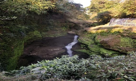 戴維斯瀑布Davis Fall